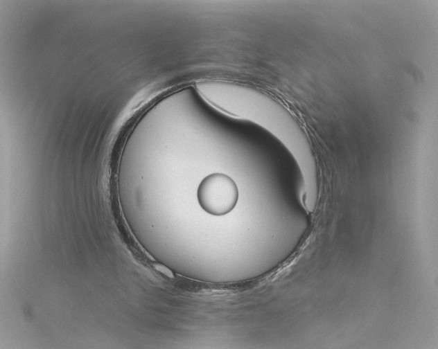 X0000115040150200911161534