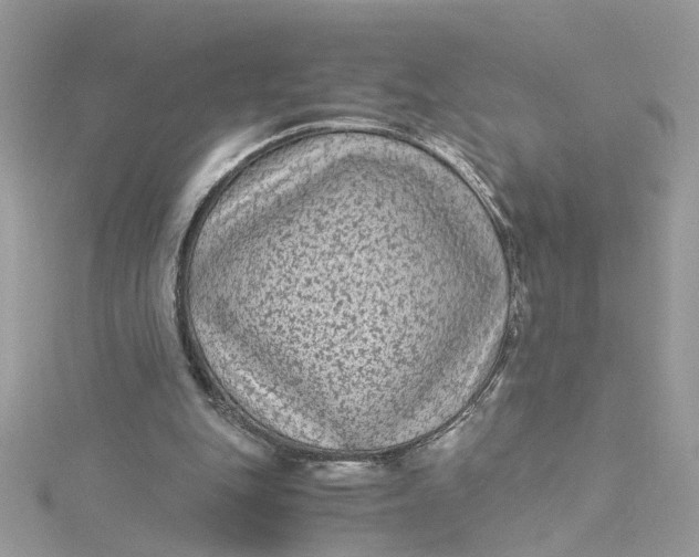 X0000115040151200911161534