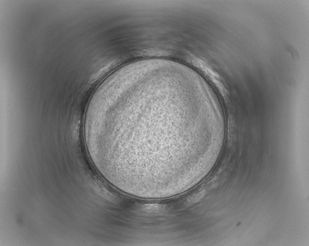 X0000115040153200911161534