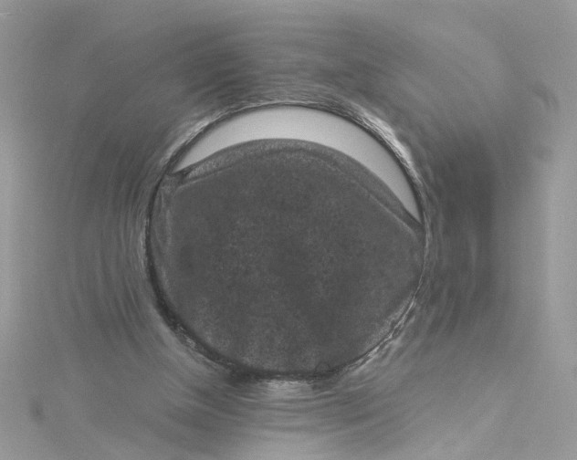 X0000115040154200911161534