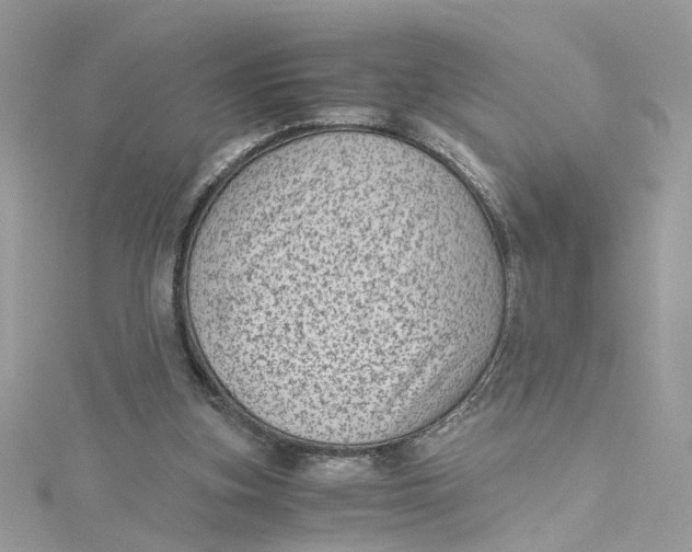 X0000115040155200911161534