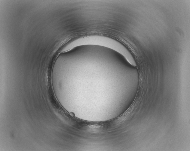 X0000115040158200911161534