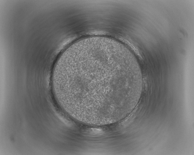 X0000115040159200911161534