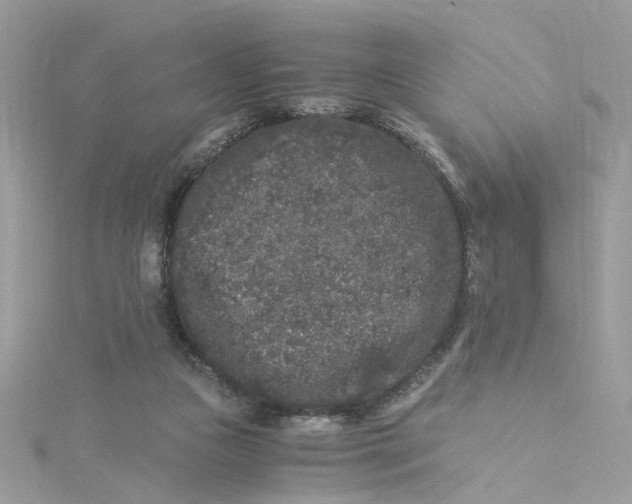 X0000115040161200911161534