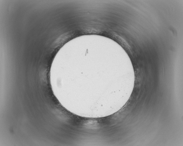 X0000115040162200911161534