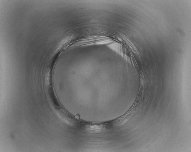 X0000115040163200911161534