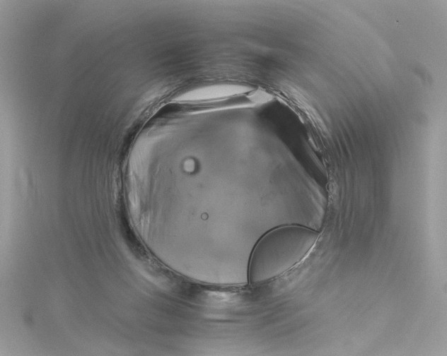 X0000115040167200911161534