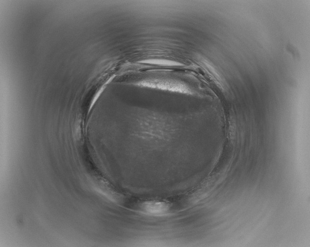 X0000115040169200911161534