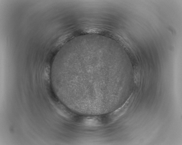 X0000115040175200911161534