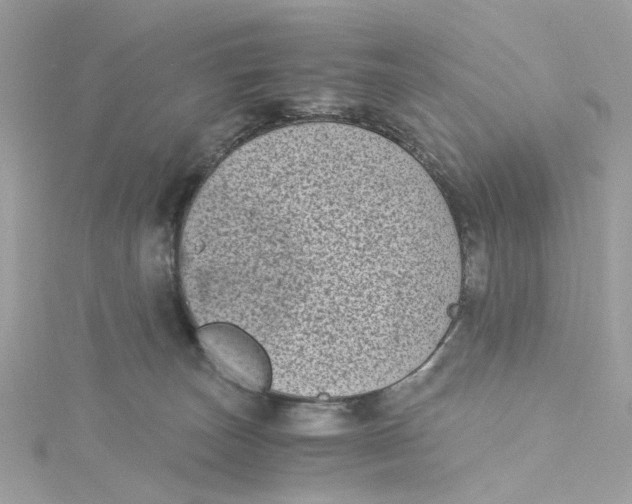 X0000115040179200911161534