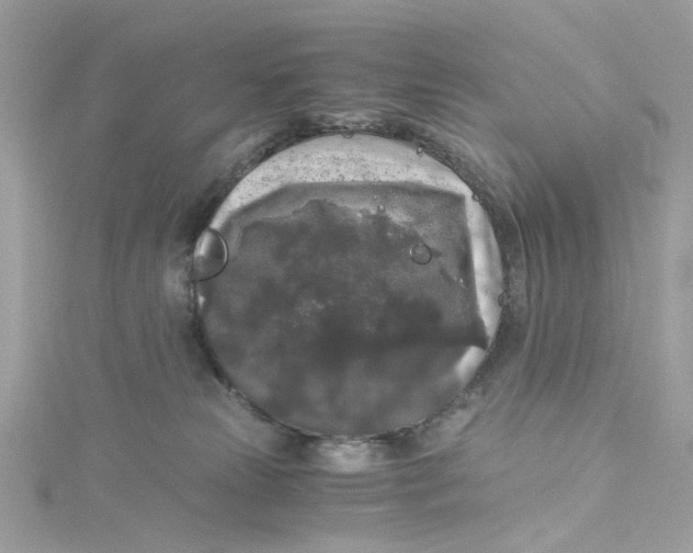 X0000115040181200911161534