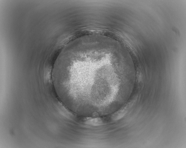 X0000115040185200911161535