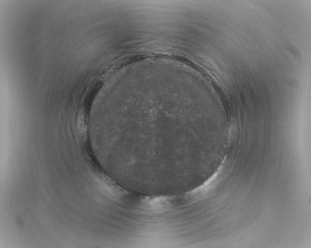 X0000115040186200911161535