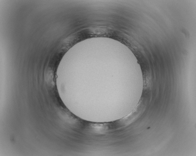 X0000115040187200911161535