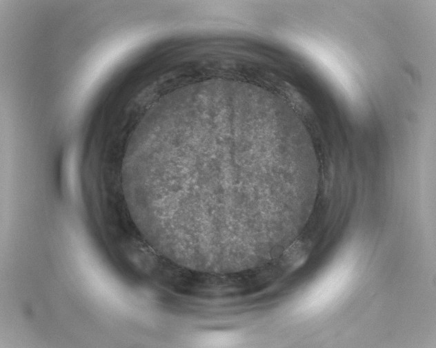 X0000115040189200911161535