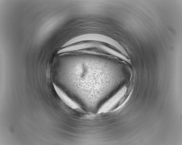 X0000115040190200911161535