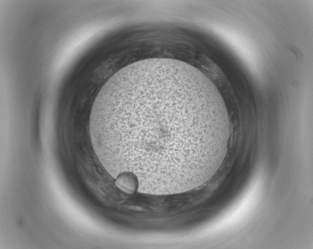 X0000115040191200911161535