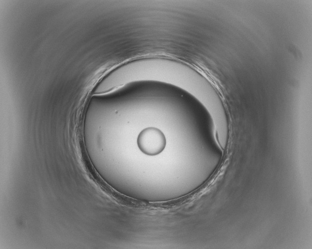 X0000115040193200911161534