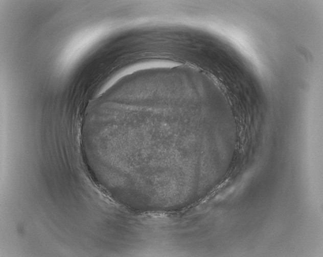 X0000115040194200911161534