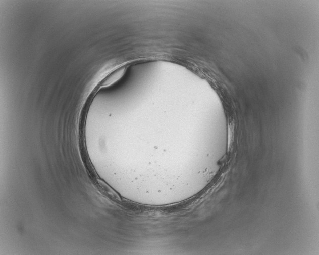 X0000115040195200911161534