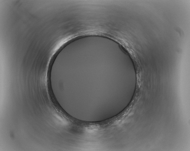 X0000115040196200911161534