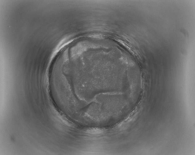 X0000115040198200911161534