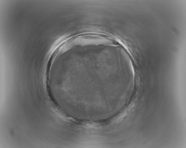 X0000115040199200911161534