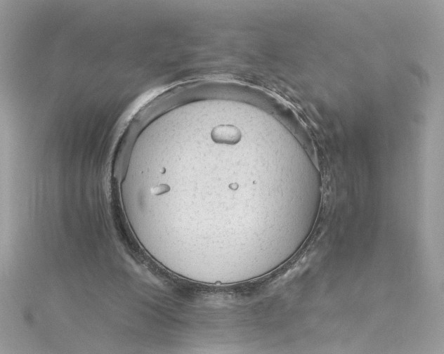 X0000115040200200911161534