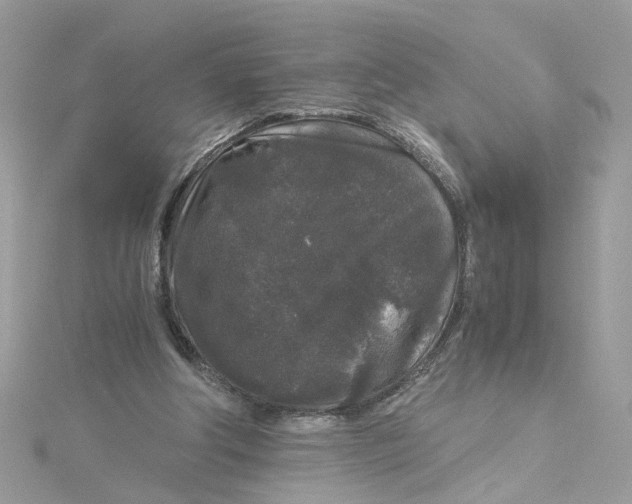 X0000115040202200911161534