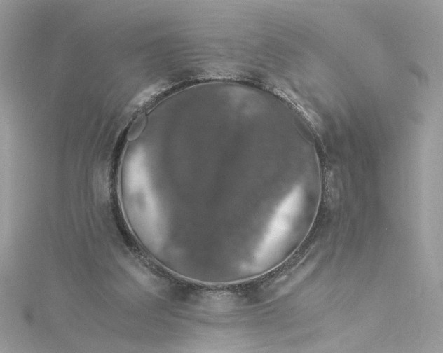 X0000115040203200911161534