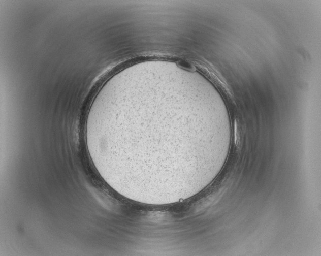 X0000115040204200911161534