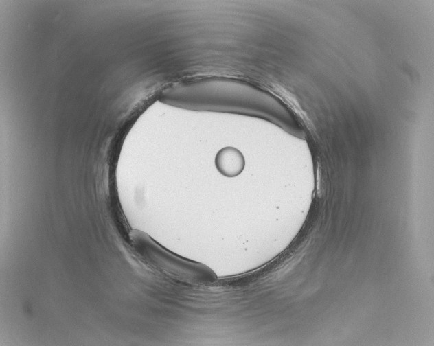 X0000115040205200911161534