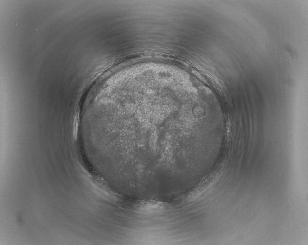 X0000115040206200911161534