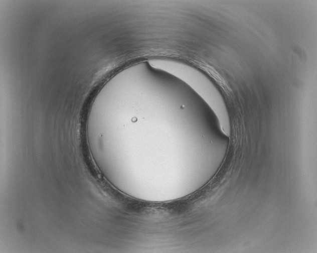 X0000115040207200911161534