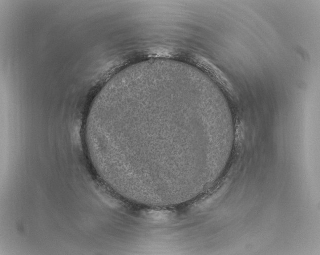 X0000115040209200911161534