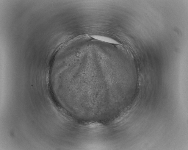 X0000115040210200911161534