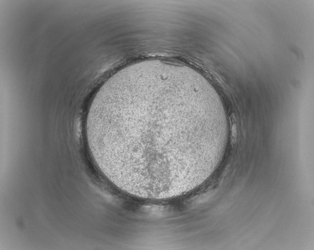 X0000115040211200911161534