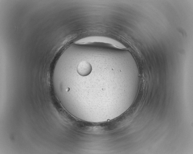 X0000115040212200911161534