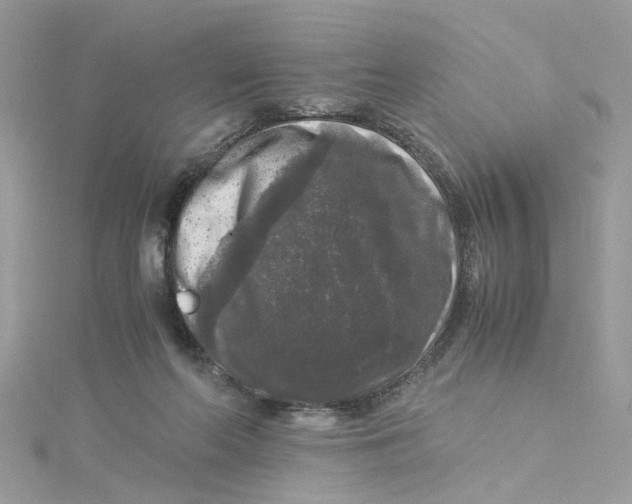 X0000115040214200911161534