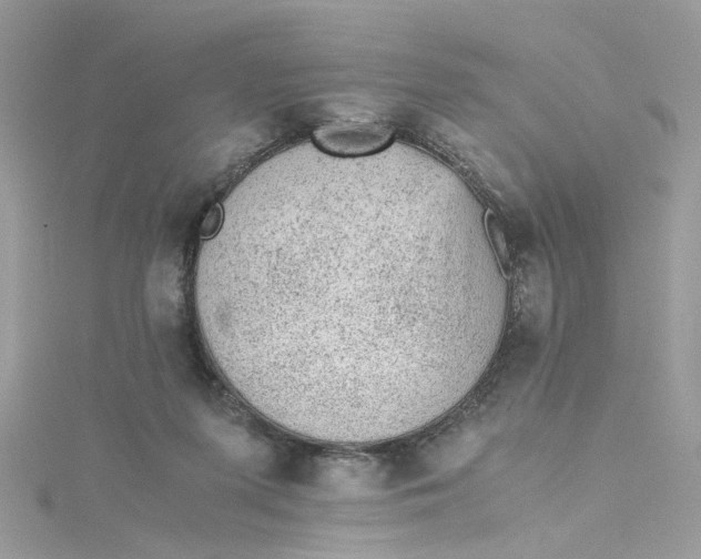 X0000115040215200911161534