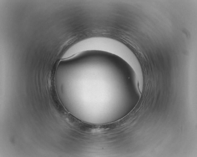 X0000115040216200911161534