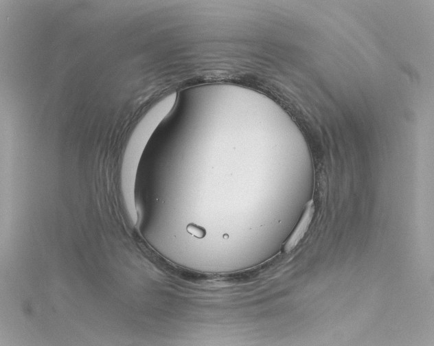 X0000115040219200911161534