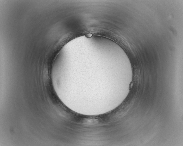 X0000115040220200911161534