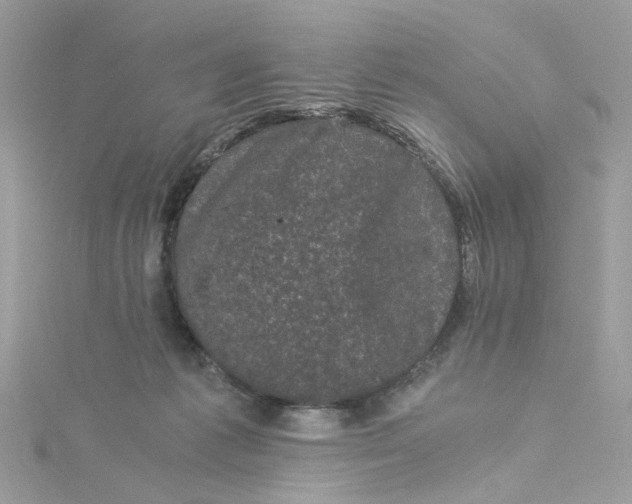 X0000115040221200911161534