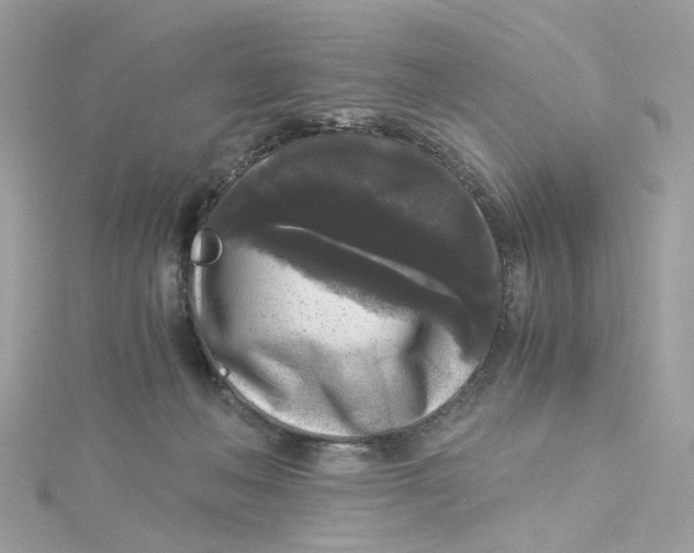 X0000115040222200911161534