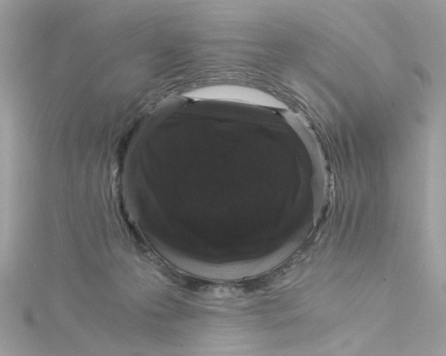 X0000115040223200911161534