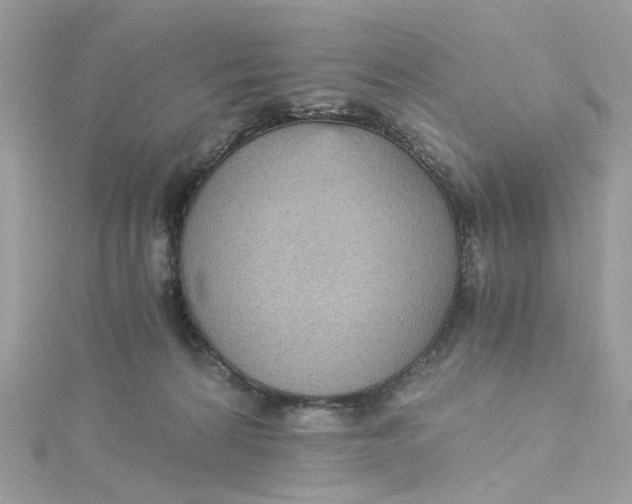 X0000115040224200911161534