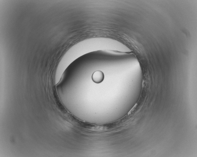 X0000115040225200911161534