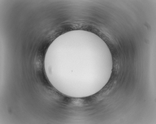 X0000115040226200911161534