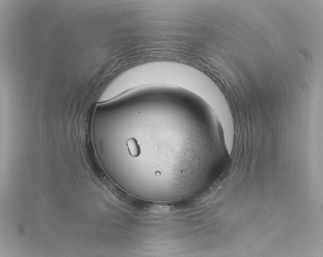 X0000115040227200911161534